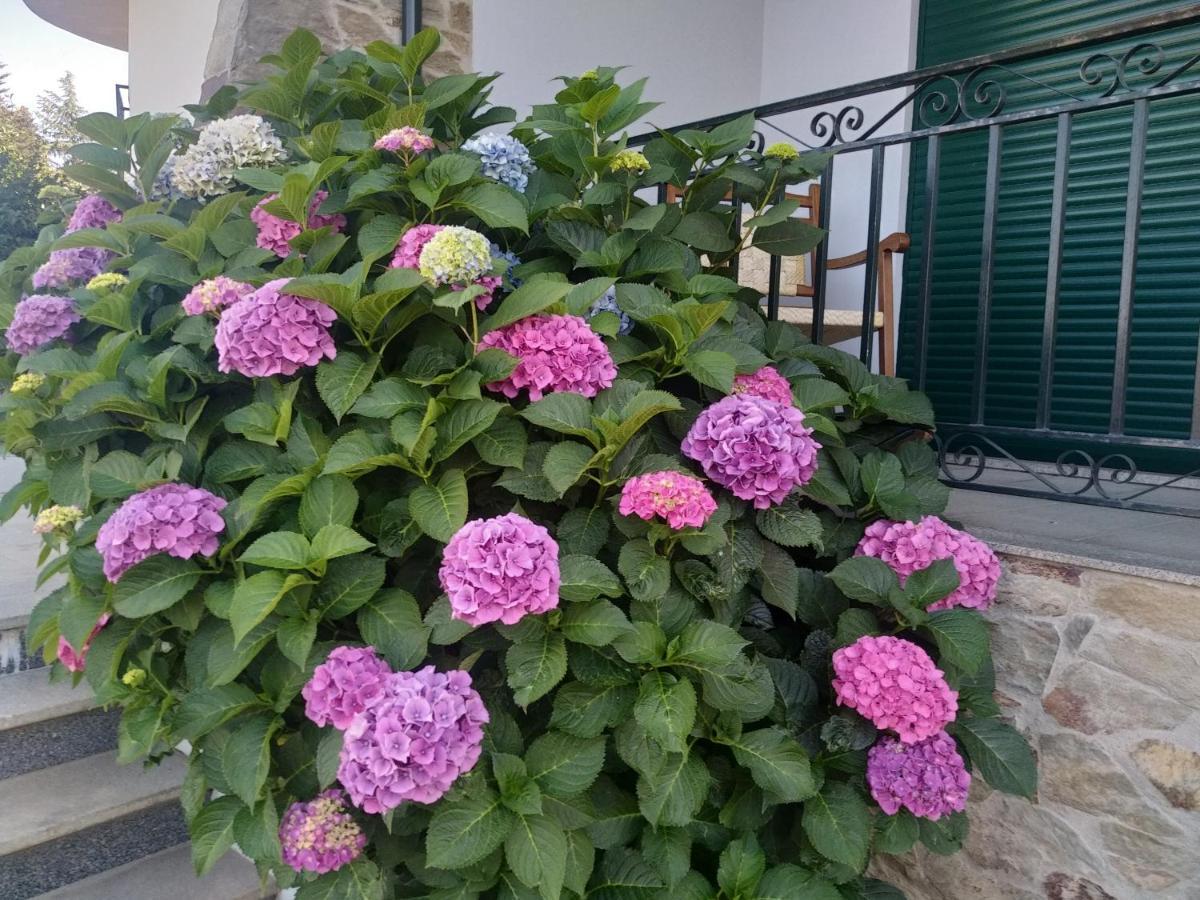 Bed and Breakfast Mito'S House & Douro View Peso da Régua Exterior foto